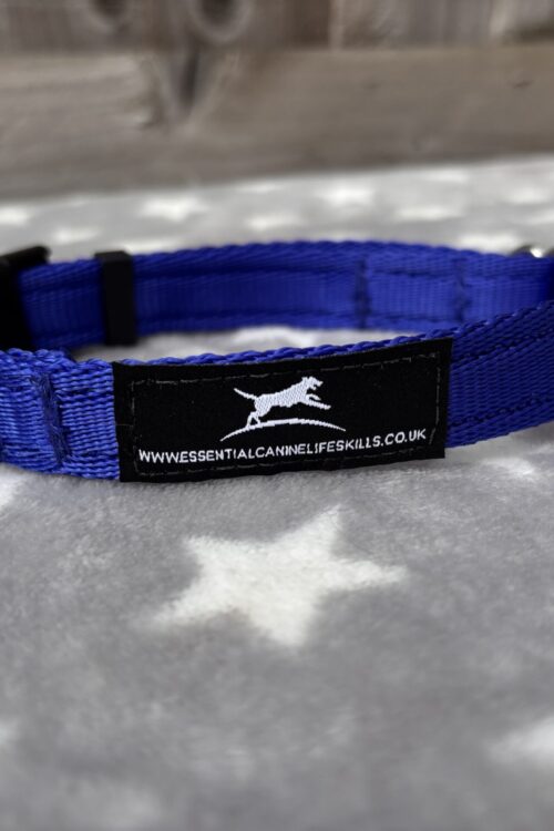Large Lightweight Collar