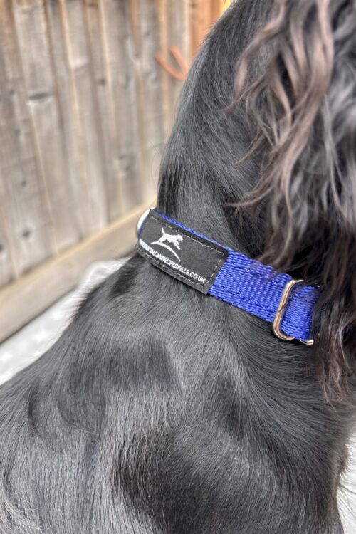 Small Lightweight Collar