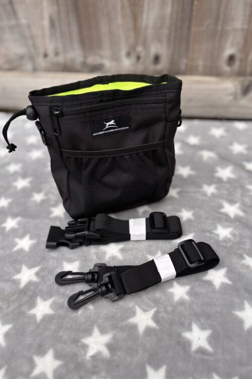 Treat Training Bag
