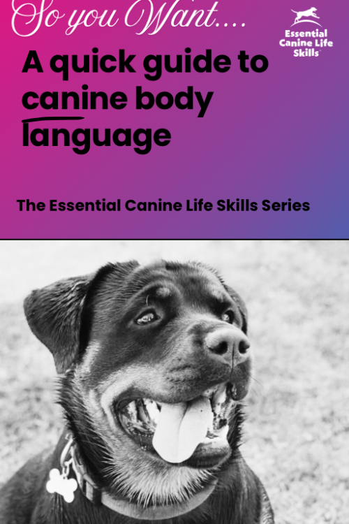A Quick Guide to Canine Body Language PDF